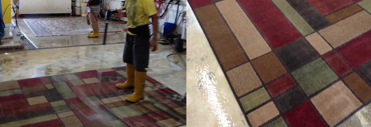 Rug Cleaning Services Pinecrest