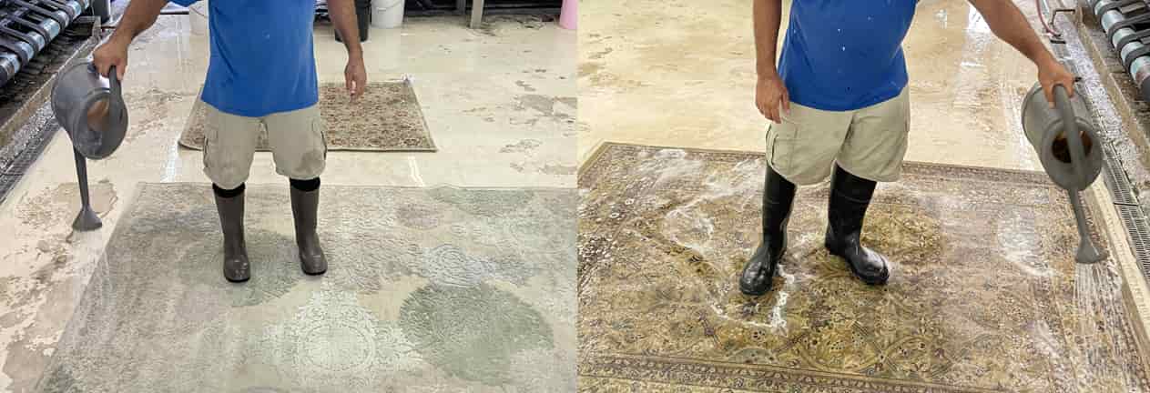 Rug Cleaning Services Sunny Isles
