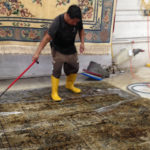 Best Pet Stain Removal Services