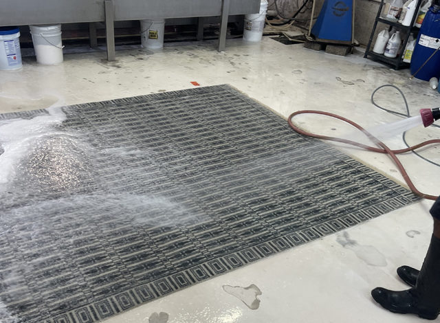 Area Rug Washing